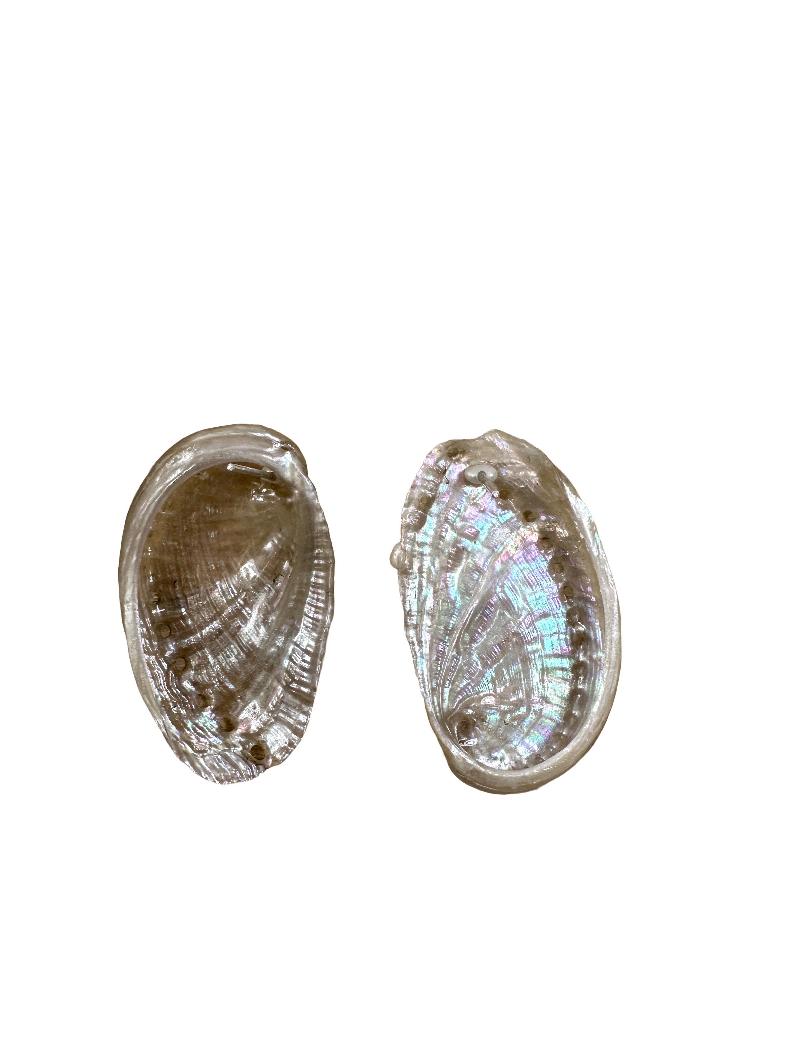 AVA EARRINGS