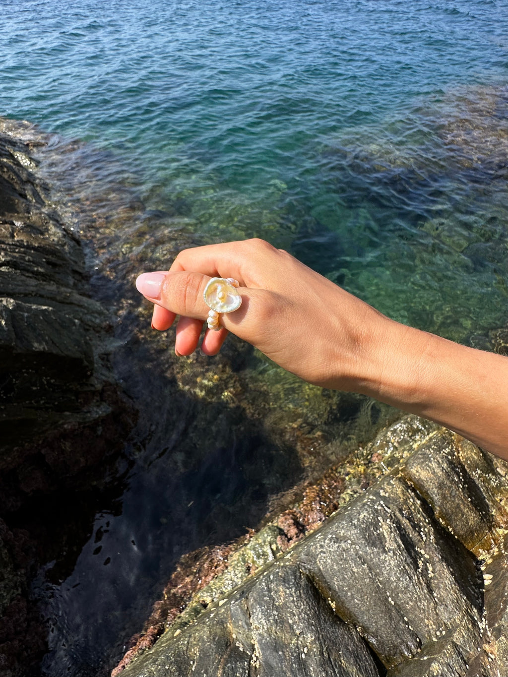 SANDER RING