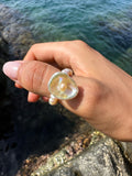 SANDER RING