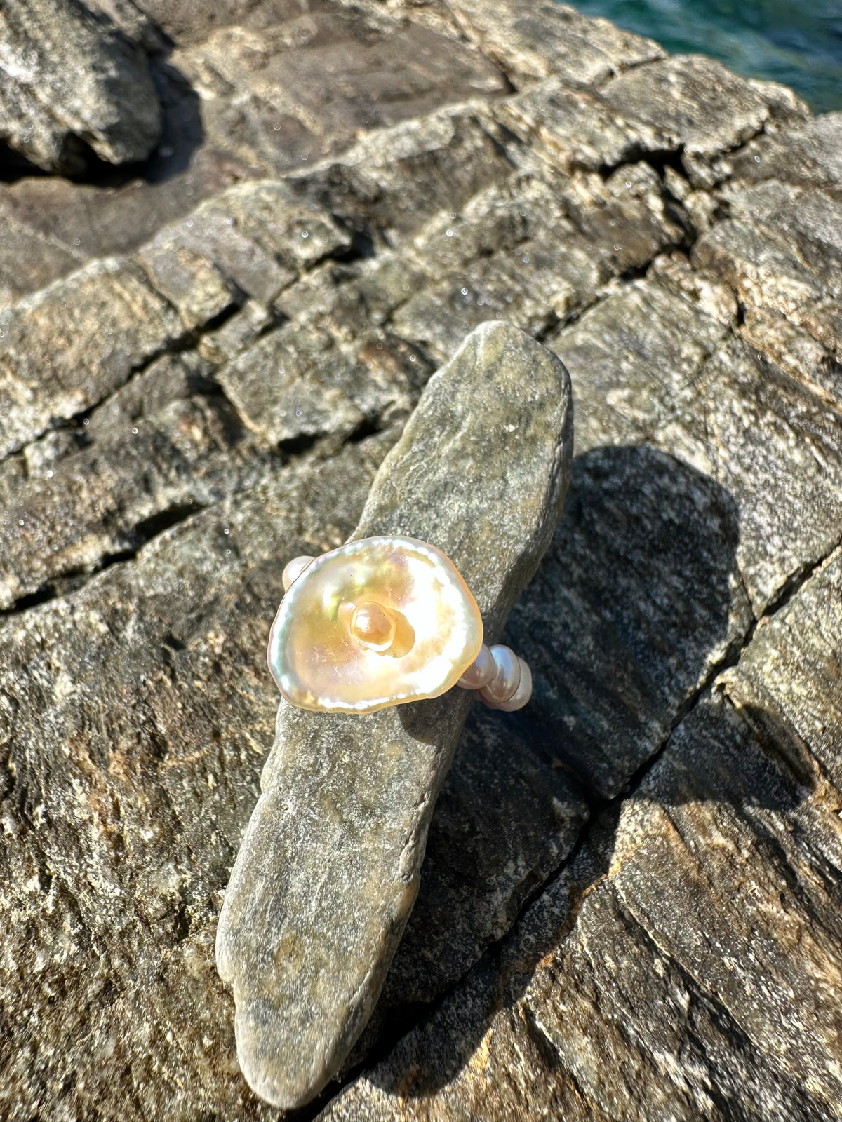 SANDER RING