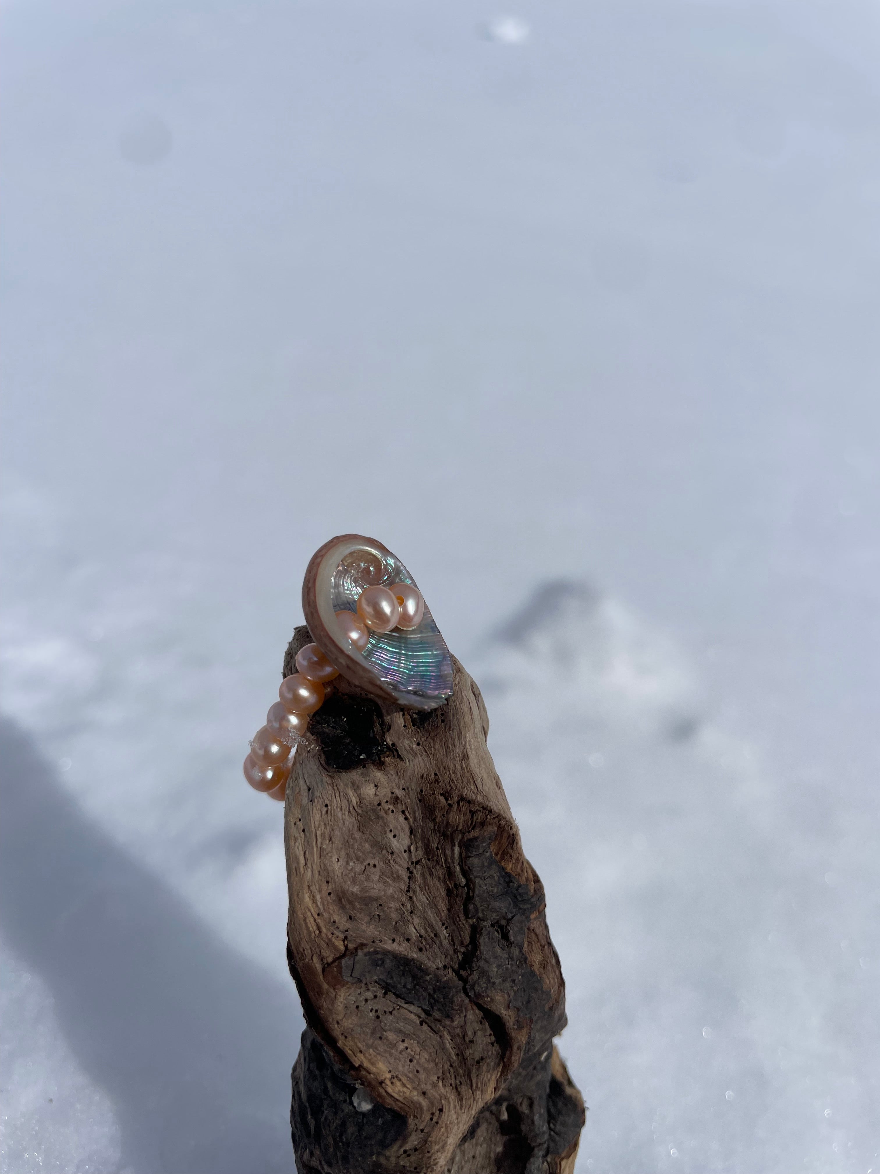 ABA RING