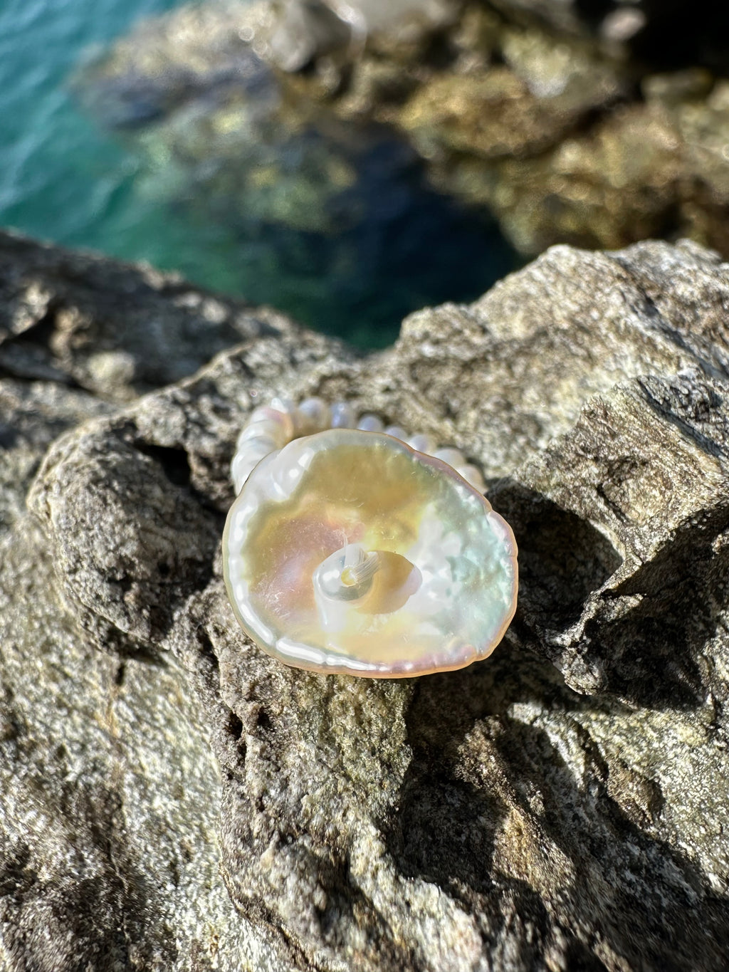 HOLLY RING