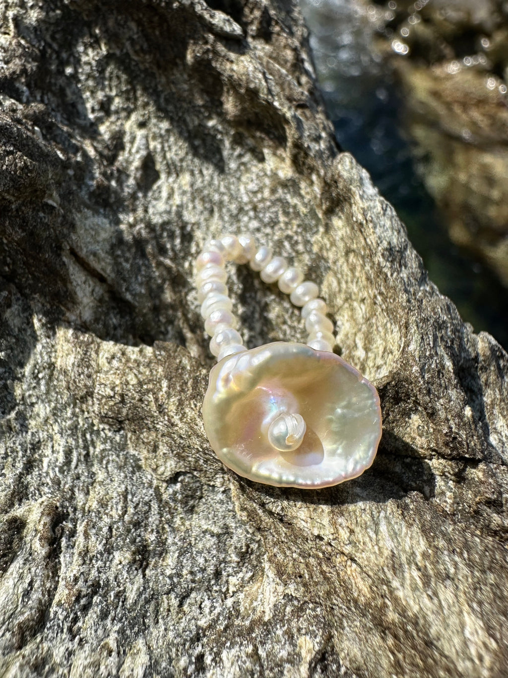 HOLLY RING