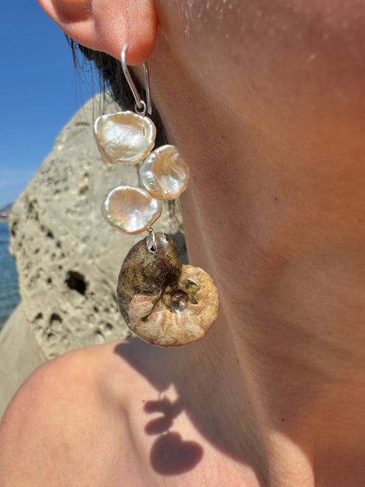 AMMONITE EARRINGS