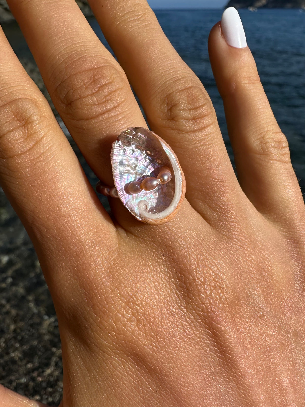 RASPBERRY RING