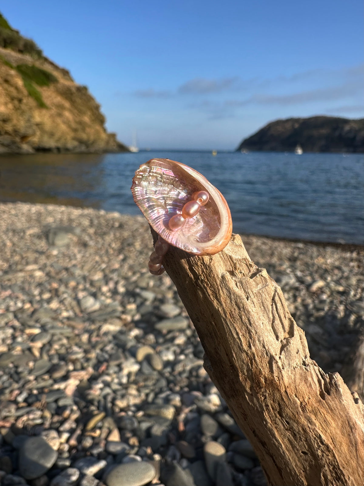 RASPBERRY RING
