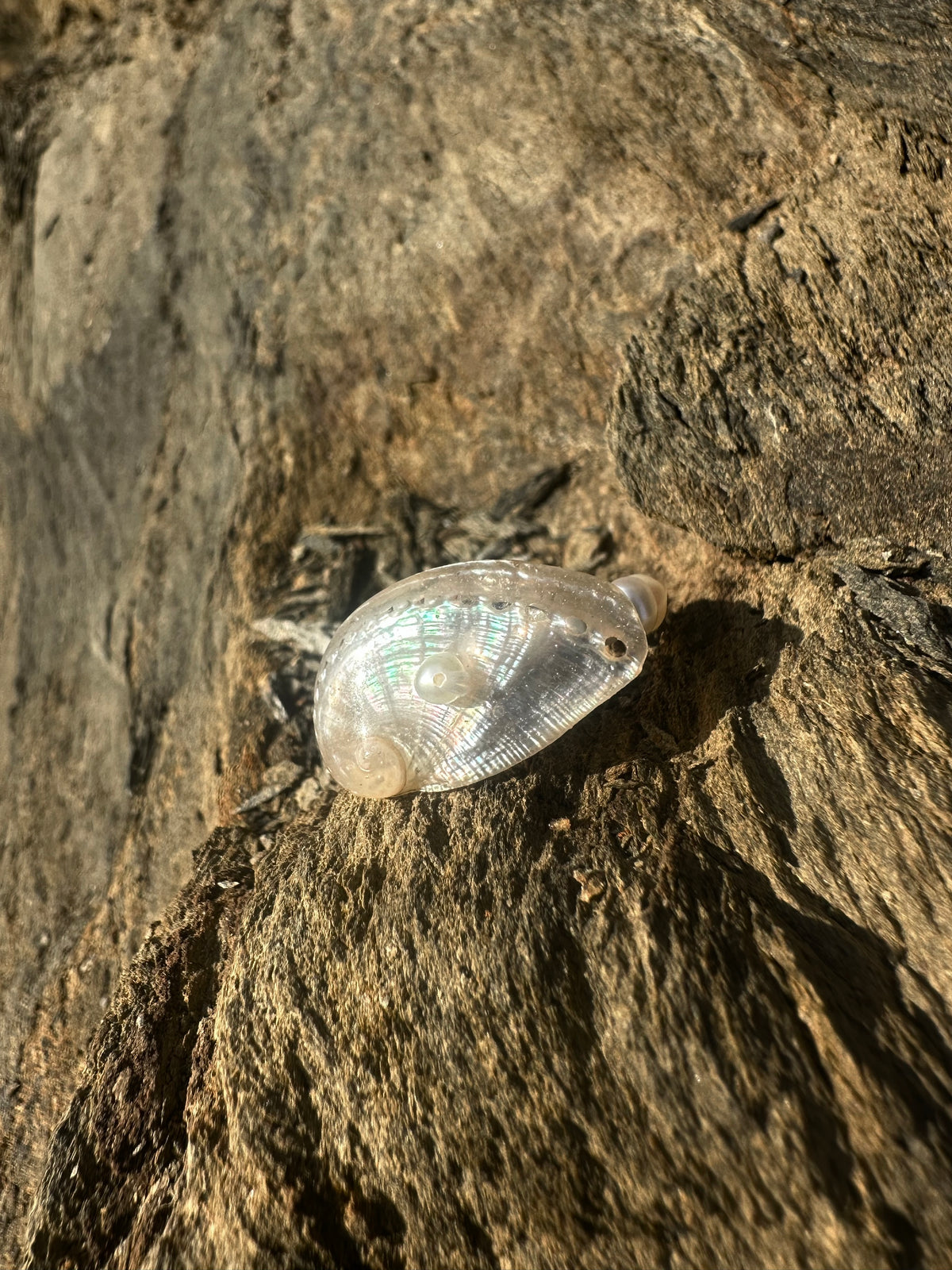MOON RING