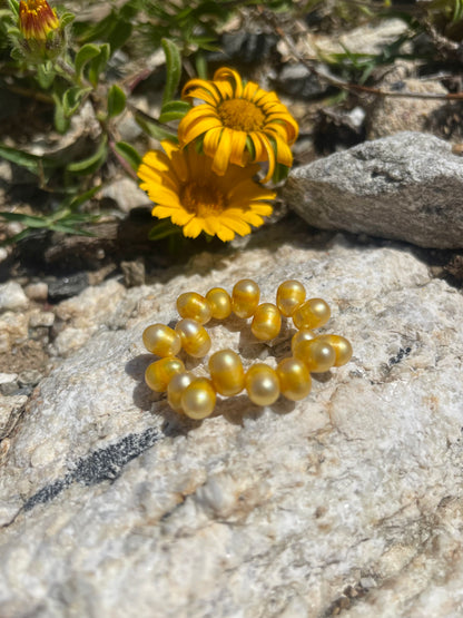 MIMOSA RING