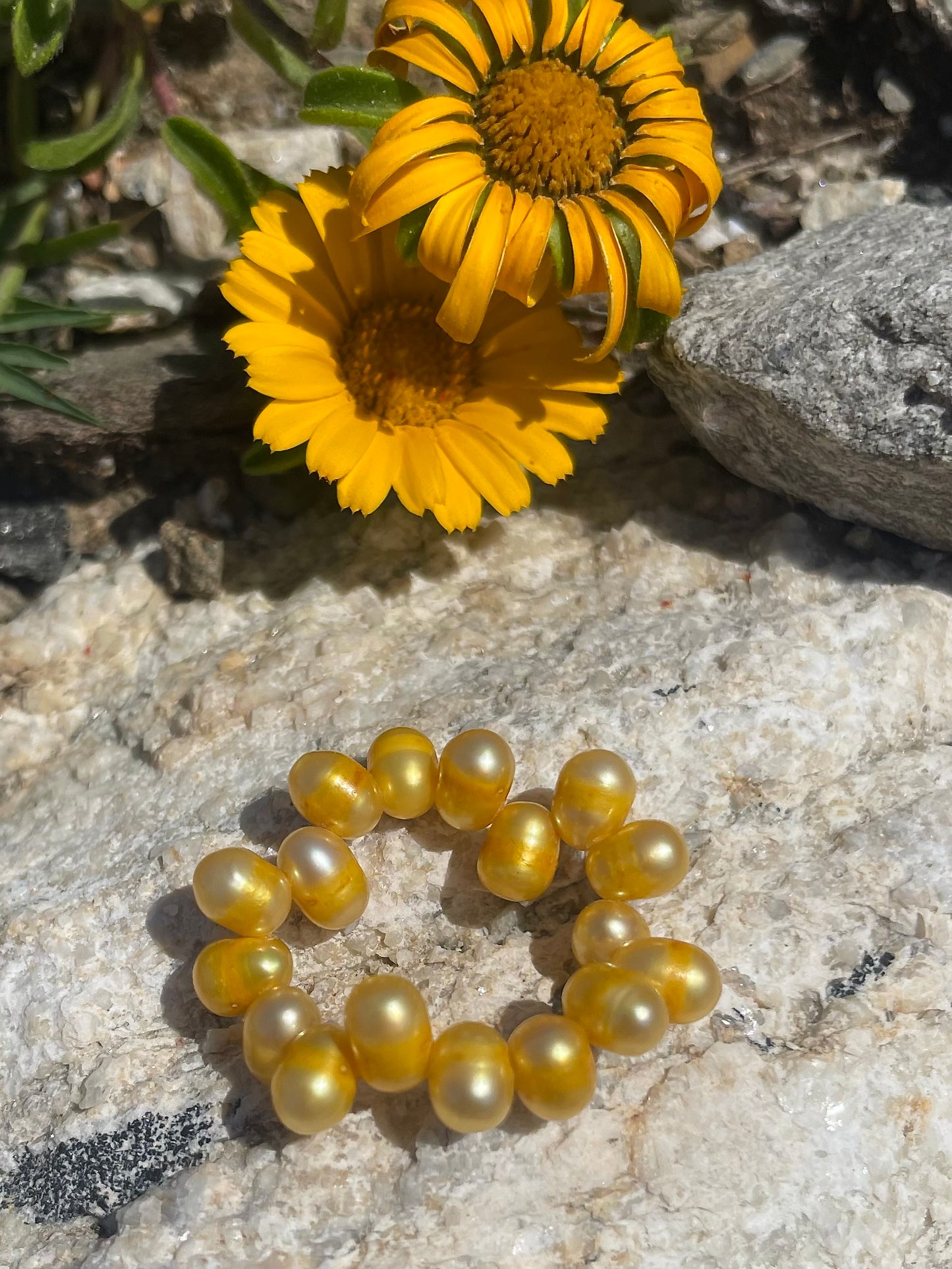 MIMOSA RING