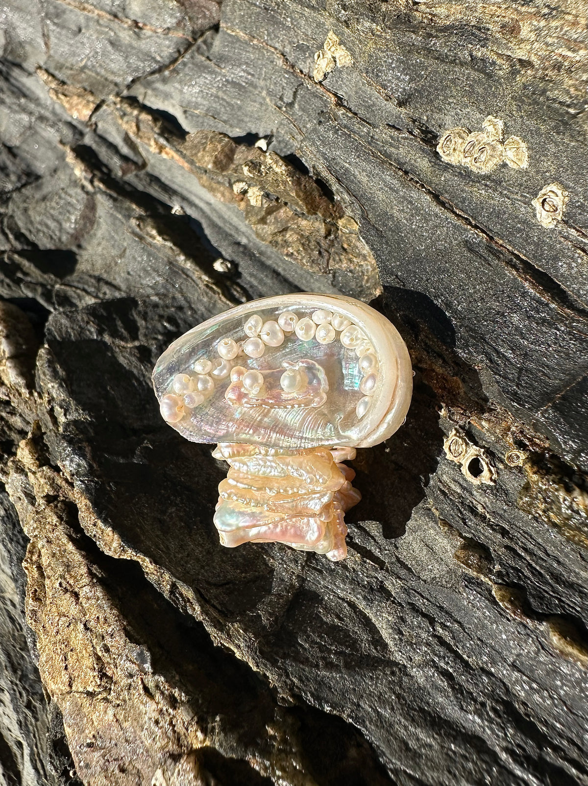 MAMMUT RING