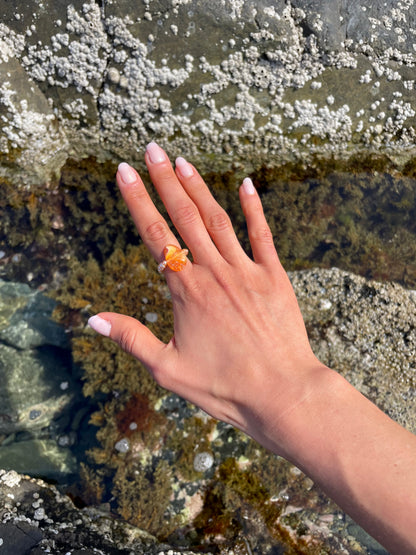 NISPERO RING