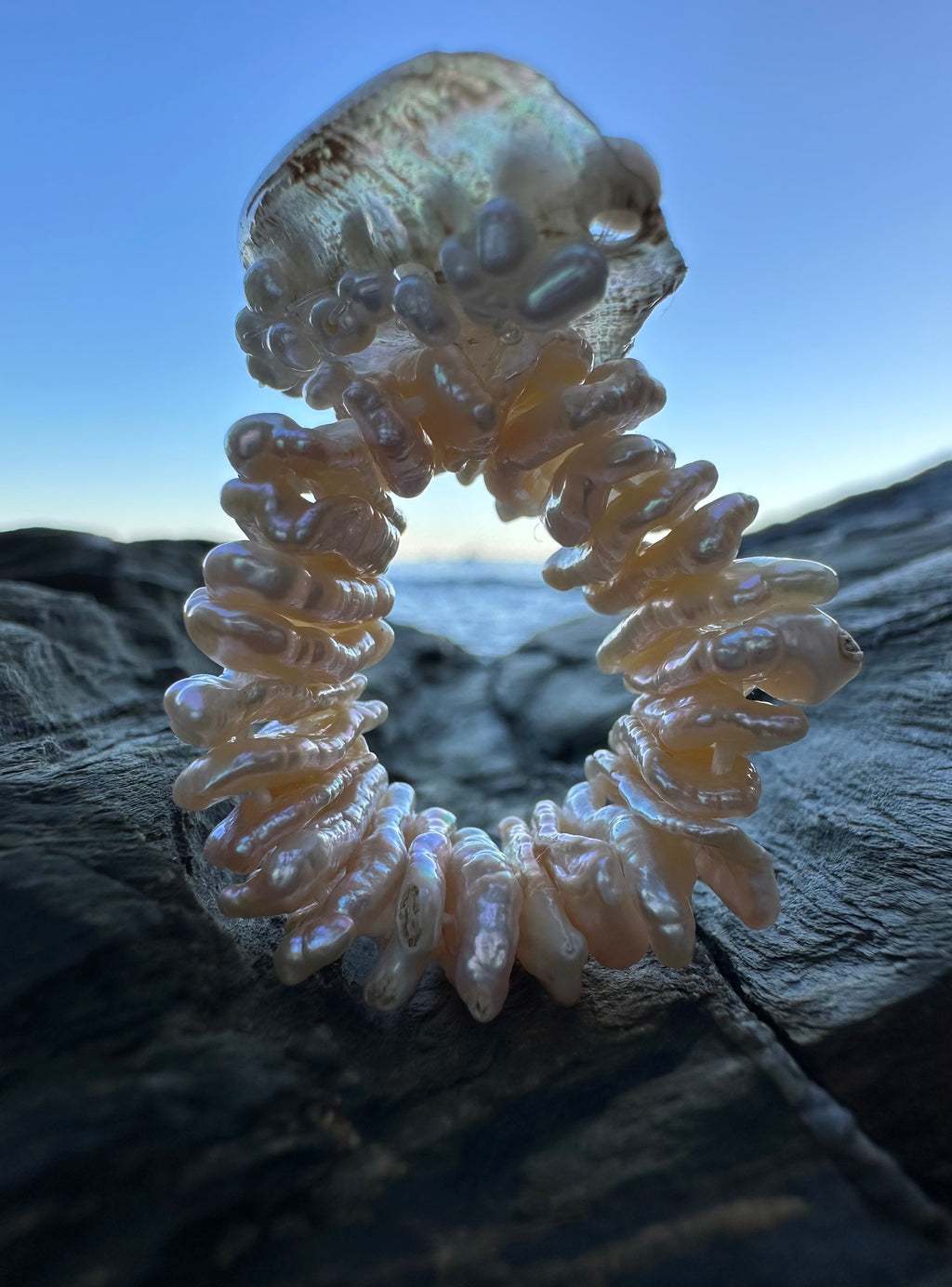 MAMMUT RING