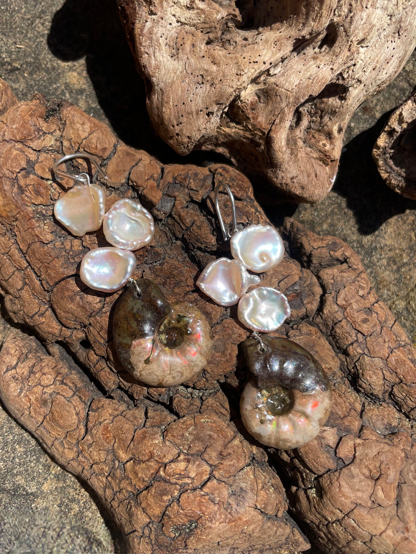 AMMONITE EARRINGS
