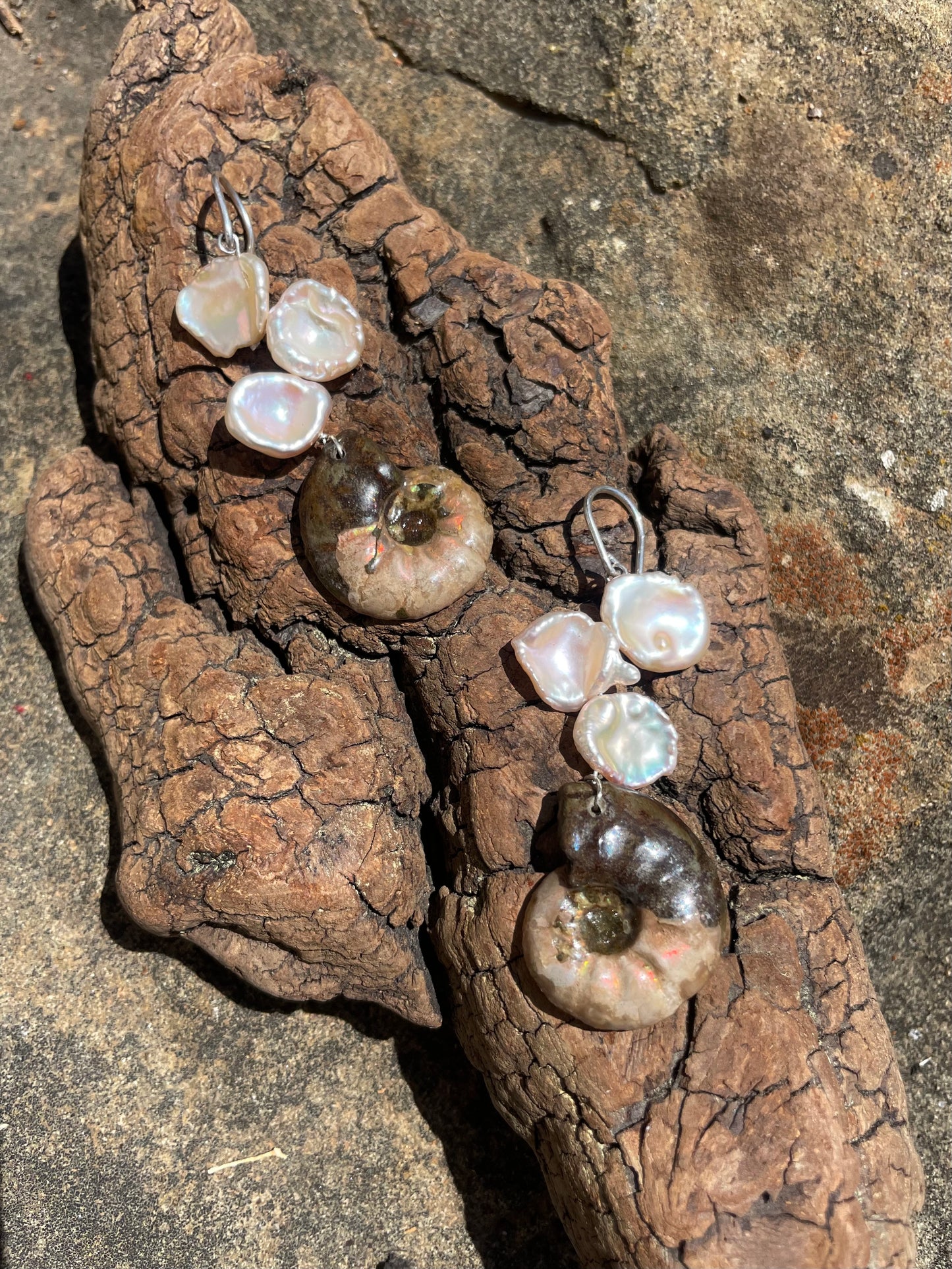 AMMONITE EARRINGS