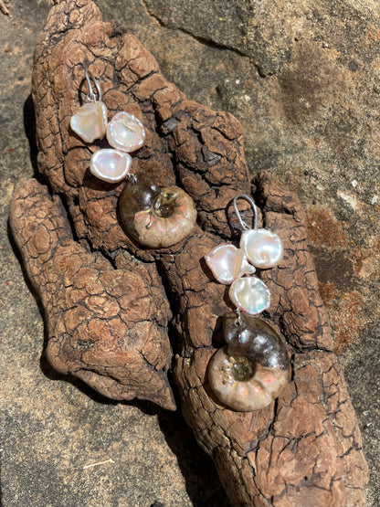 AMMONITE EARRINGS