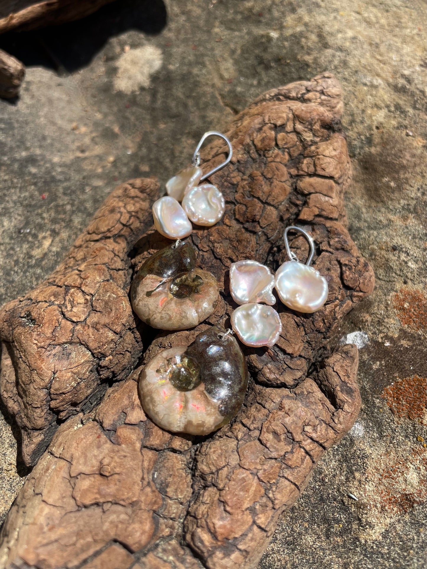 AMMONITE EARRINGS