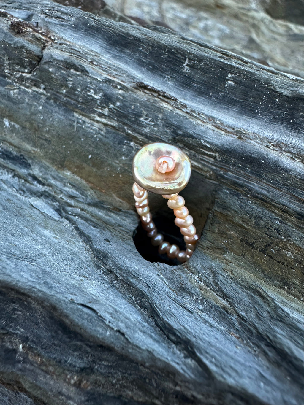 CRASPEDIA RING