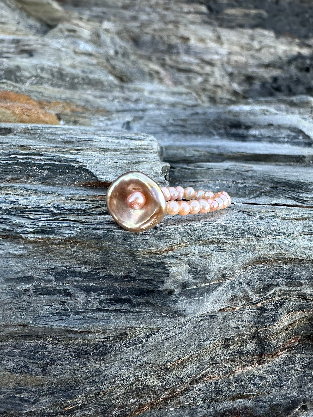 CRASPEDIA RING