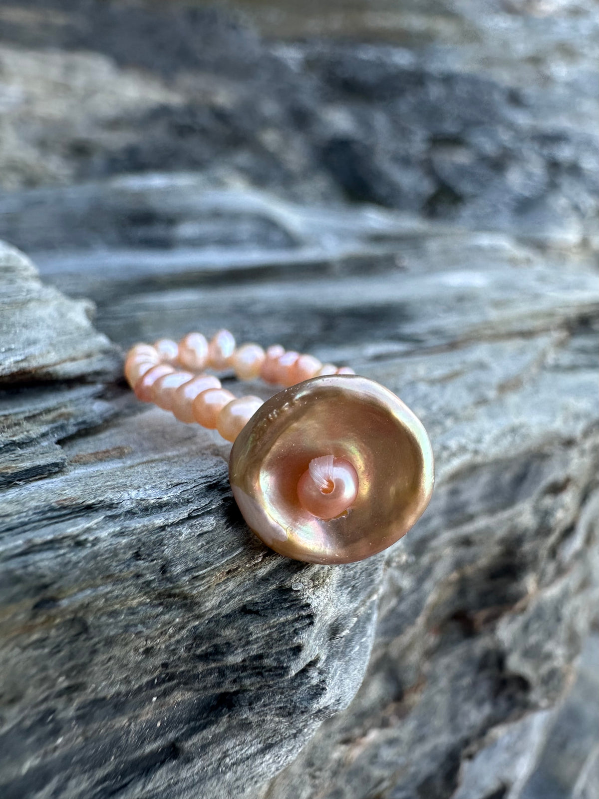 CRASPEDIA RING