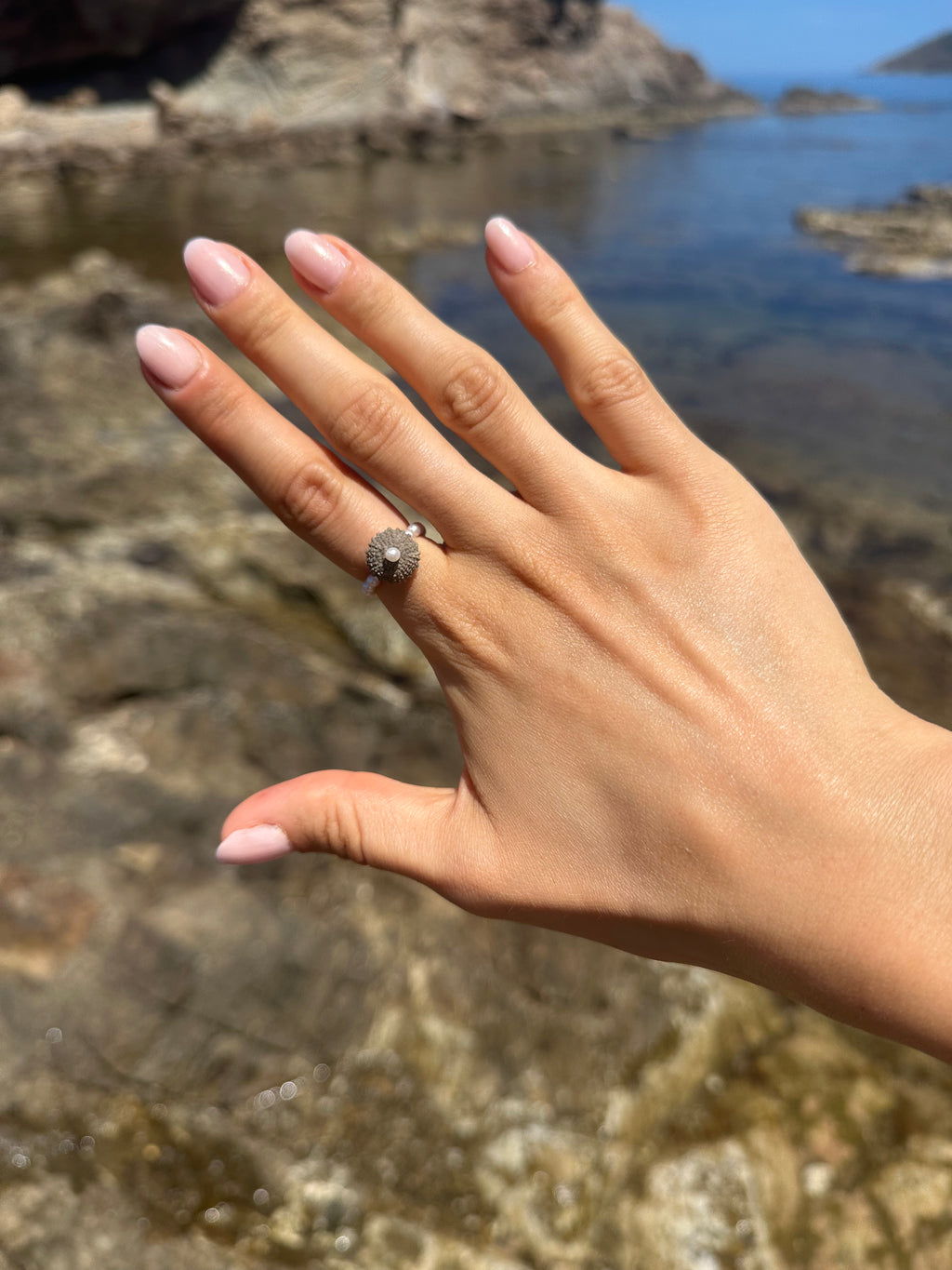 ECHIN RING