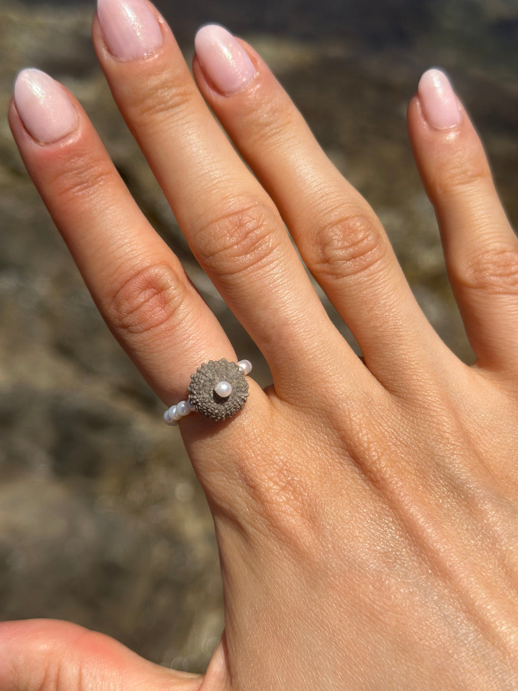 ECHIN RING