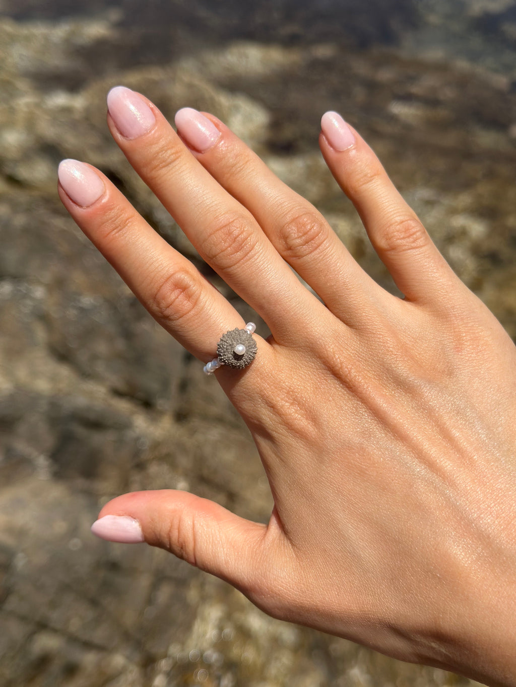 ECHIN RING