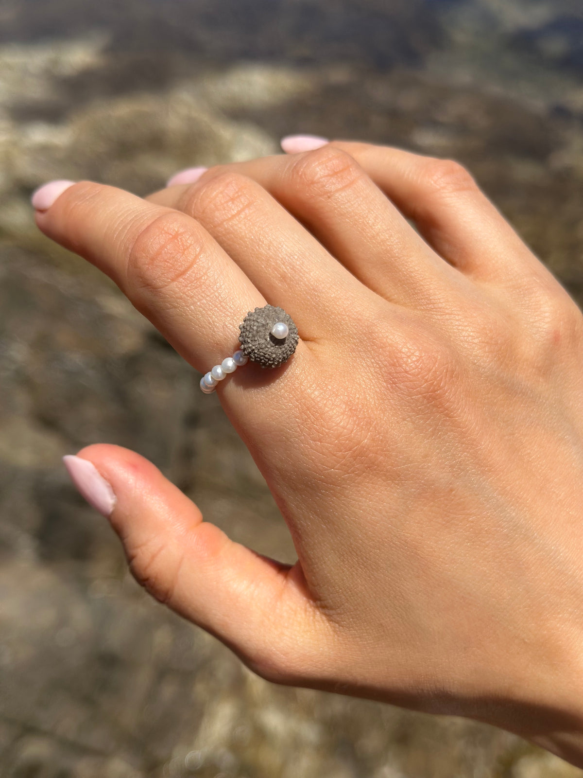 ECHIN RING