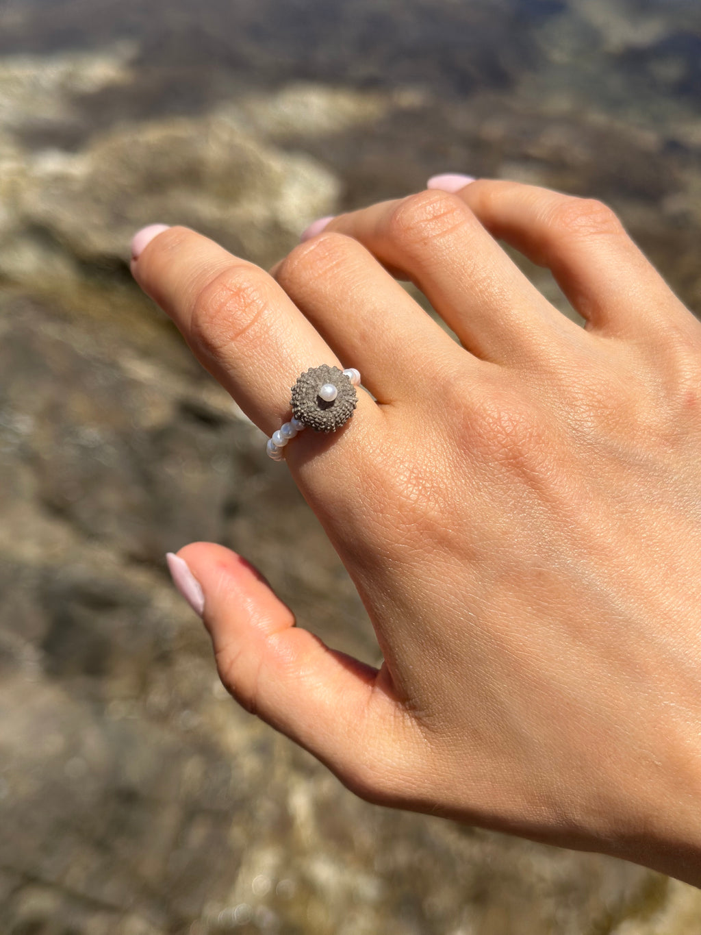 ECHIN RING