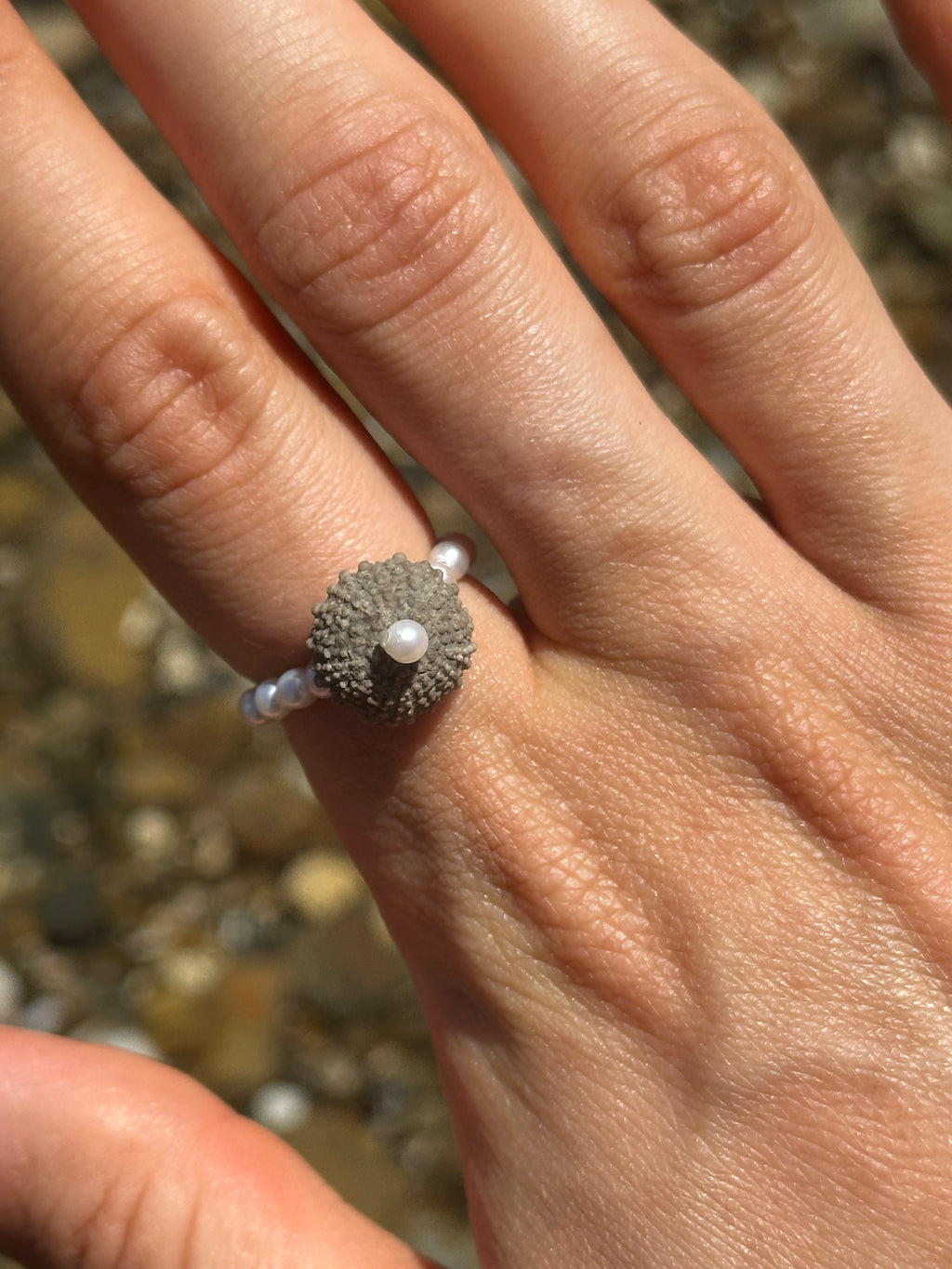 ECHIN RING