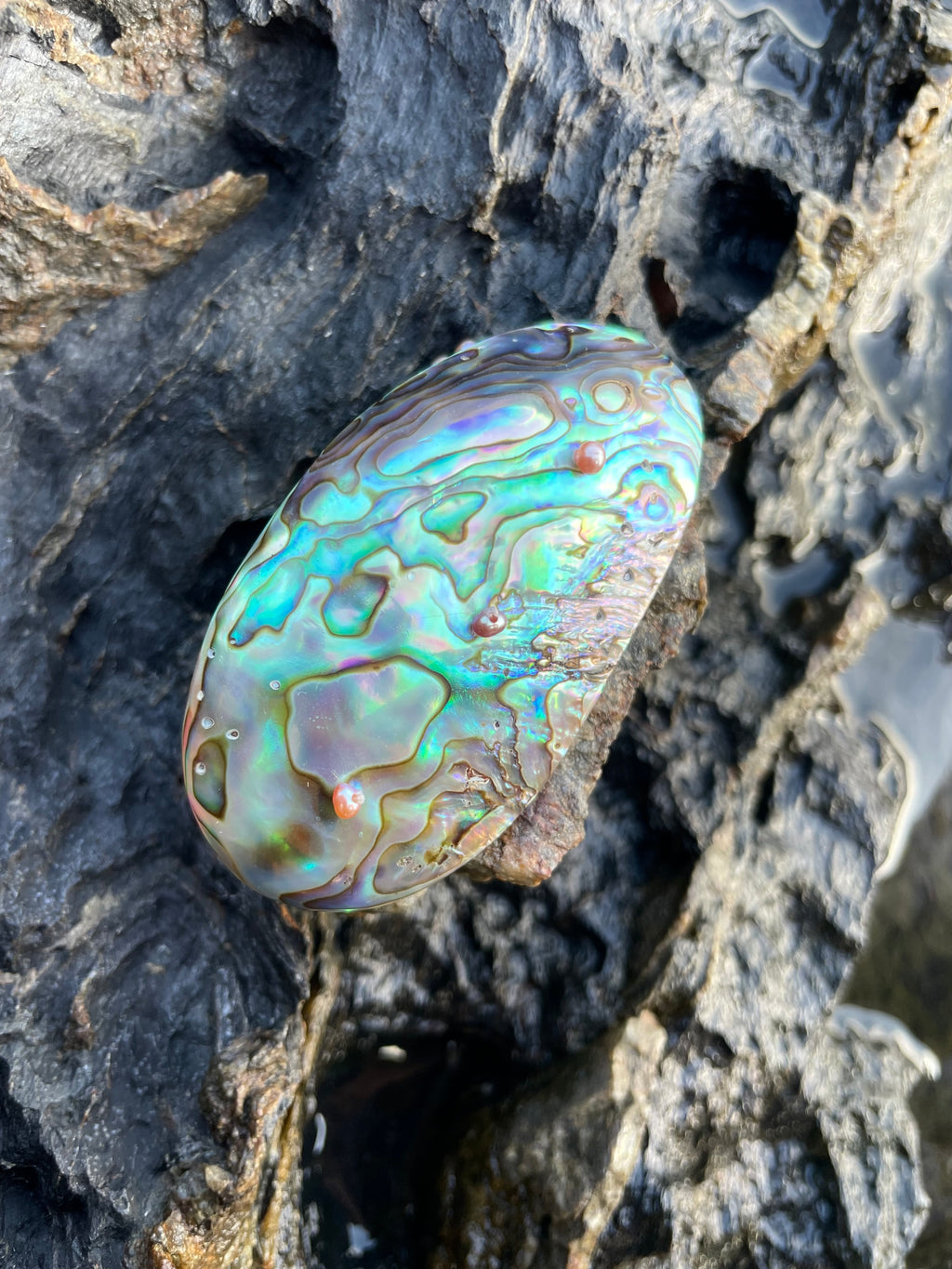 THALASSA RING