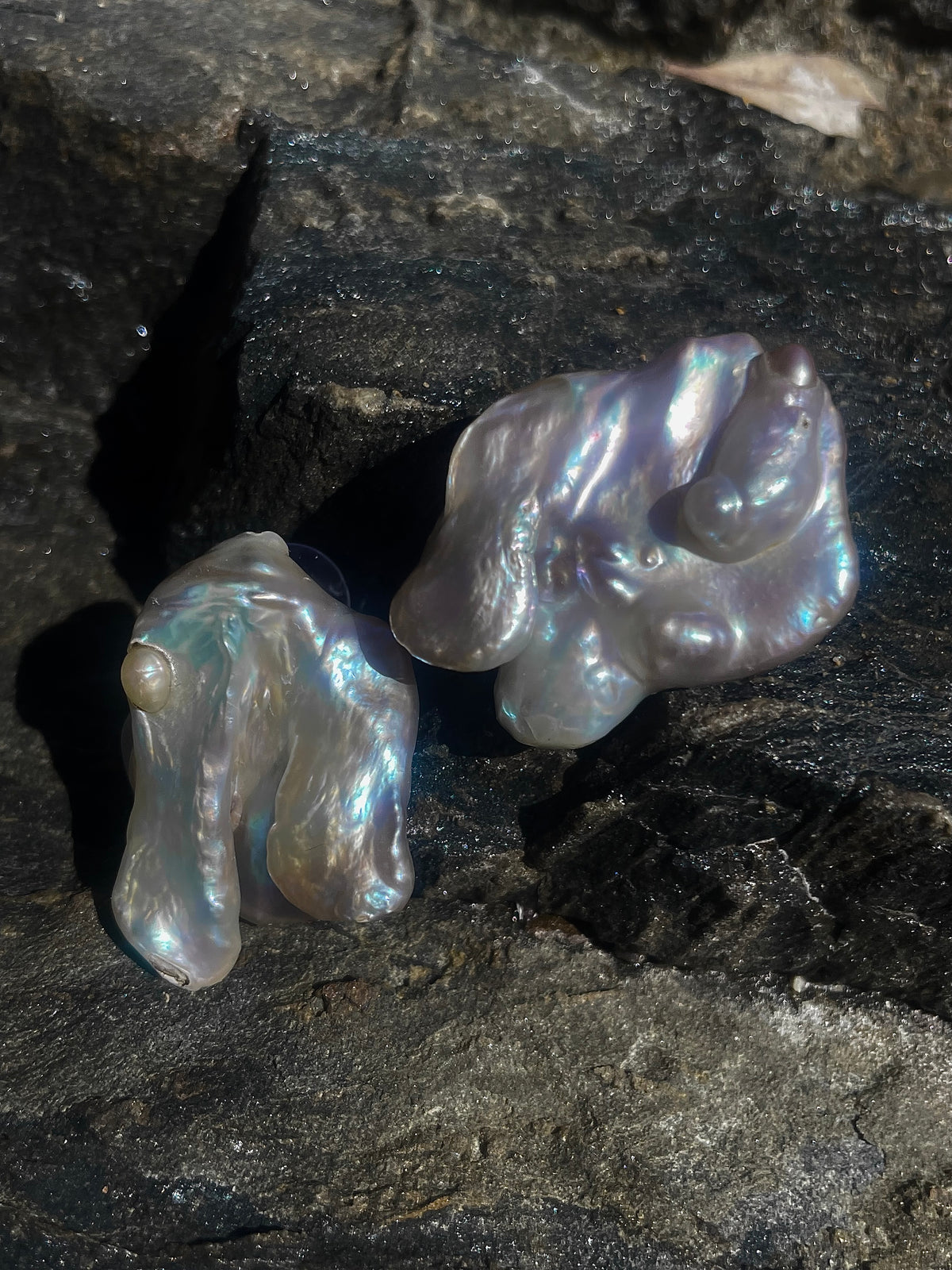 BRUMA EARRINGS
