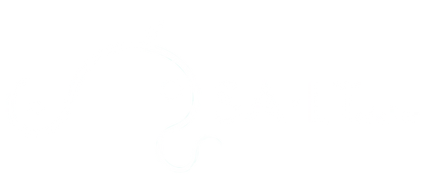 SA·LT atelier